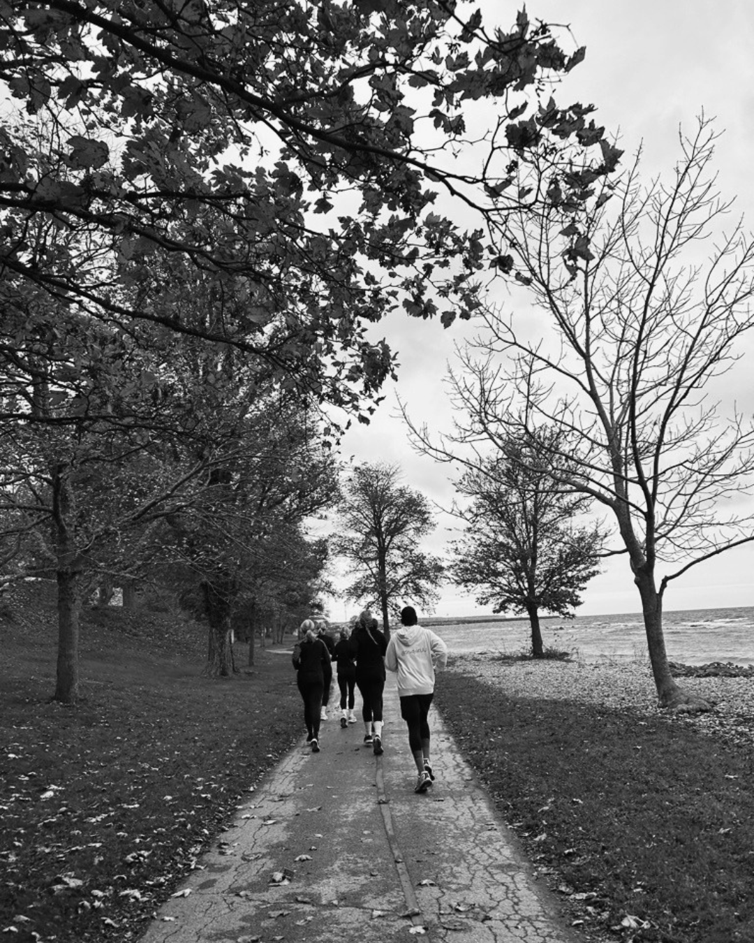 Deltagare på löprunda längs Visby strandpromenad